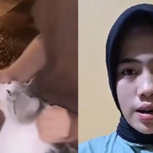 Wanita Tangkap, Paksa Kucing Merokok