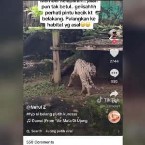 “Zoo Melaka Binatangnya Nampak Tak Cukup Zat, Tiket Kemain Mahal,”- Pengunjung Kecewa Bayar Tiket RM400