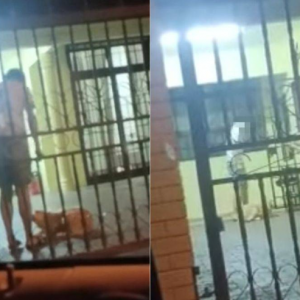 "Manusia Kena Rotan Pon Sakit Apatah Lagi Binatang", Polis Siasat Kes Tular Dera Anjing