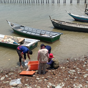 Lapan Kes Makan Kupang Beracun, Dua Kritikal Di Port Dickson