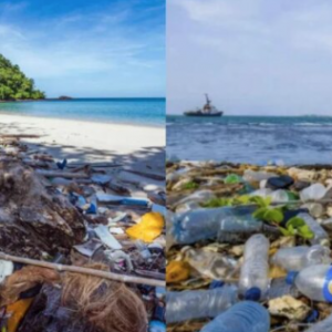 Mengaku Diri Pembersih, Realitinya Malaysia Merupakan Negara Ke 5 Tertinggi Dunia Cemari Laut Dengan Plastik