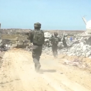 Ratusan tebuan serang tentera Israel, 12 askar pendatang haram cedera disengat