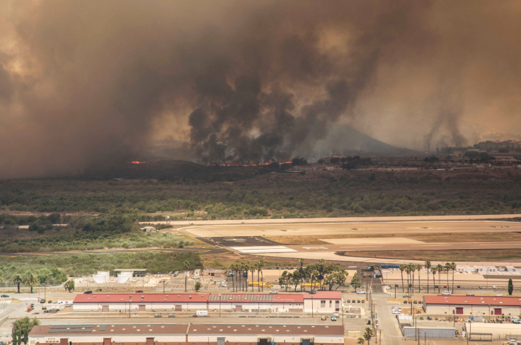 52,000 orang mati akibat kebakaran hutan di negeri California