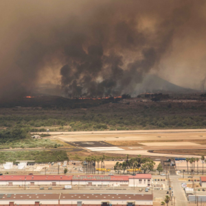 52,000 orang mati akibat kebakaran hutan di negeri California