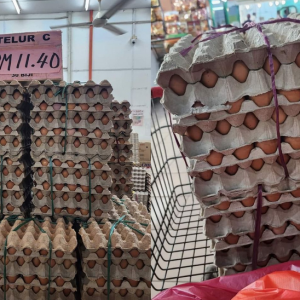 Harga telur turun 3 sen sebiji, peniaga jimat RM500 sebulan - “Biasa beli telur gred C ini rm12.30. Hari ini (kelmarin) turun RM11.40"