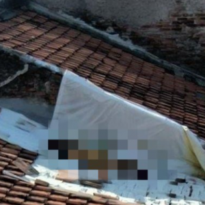Misteri Suara Mengilai Atas Bumbung Masjid Terbongkar