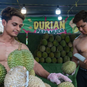Abang Sado Tarikan Utama Gerai Durian Papa Muda Di Kajang