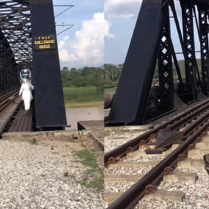 “Jalan Pun Terhegeh-Hegeh..” – "Photoshoot" Tak Kena Tempat, Pasangan Pengantin Hampir Kena Langgar Kereta Api Di Gullemard Bridge