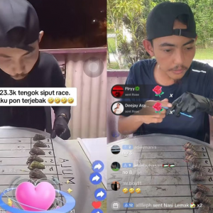 Tuah anak Langkawi buat ‘live’ siput sedut berlumba, raih hampir RM2,000 satu malam