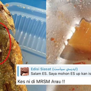 Tular Di Telegram ‘Edisi Siasat’ Foto Makanan Berulat & Ada Telur Lalat, Didakwa Dihidang Untuk Pelajar MRSM Negeri Utara