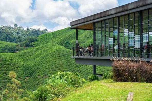 Banyak pokok kena tebang.Cameron Highlands tak lagi sejuk seperti dulu