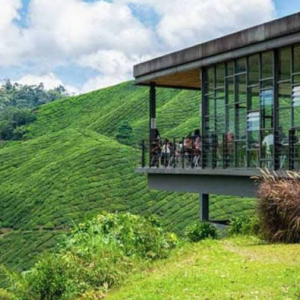 Banyak pokok kena tebang.Cameron Highlands tak lagi sejuk seperti dulu