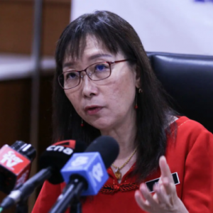 'Wajibkan sijil halal akan tambah beban peniaga, malukan negara' - Teresa Kok