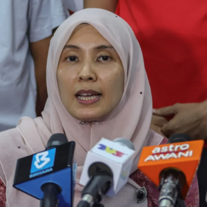 Pastikan DUN Mahkota dapat wakil rakyat mampu berkhidmat - Nurul Izzah