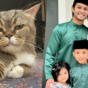 ‘Jaga Bujibu Chempel Baik-Baik’ - Netizen Pesan Kepada Hairul Azreen Dan Hanis Zalikha, Jaga Kesihatan Kucing Yang Punyai 1.5 Juta Follower Di IG