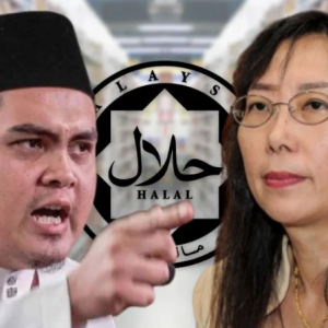 Isu sijil halal: Teresa saman Dr. Akmal