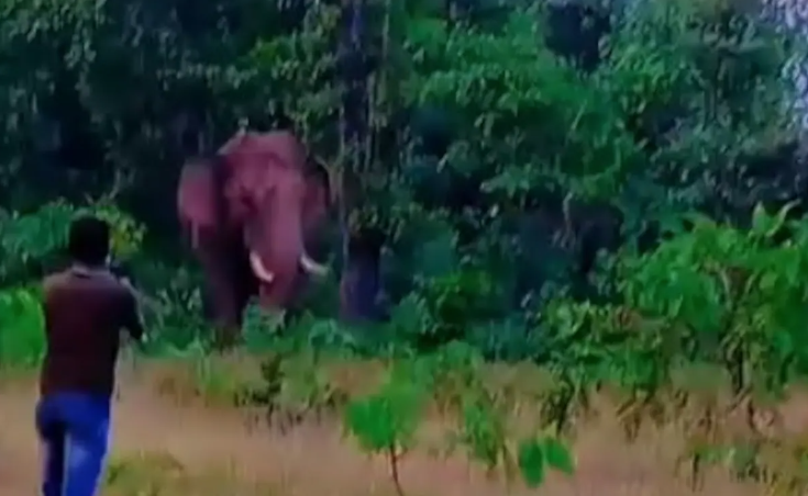 Swafoto terakhir seorang lelaki sebelum mati dipijak gajah liar