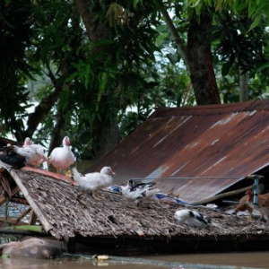 Pasukan HADR Malaysia hantar bantuan untuk mangsa taufan Trami di Filipina