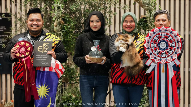 Kucing jalanan Malaysia menang anugerah dunia di Norway - “Baby hanyalah kucing baka biasa, kamil ambil dia dari jalanan"