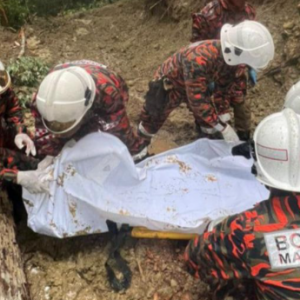 Lelaki Indonesia maut ditimpa pokok ketika melakukan kerja penebangan pokok