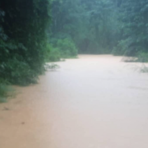 Banjir: Jambatan tenggelam, 400 penduduk Orang Asli Gua Musang terkandas