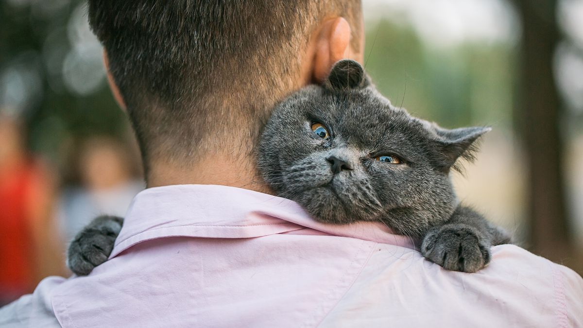 Isteri fail aduan mahkamah, dakwa suami lebih sayangkan kucing