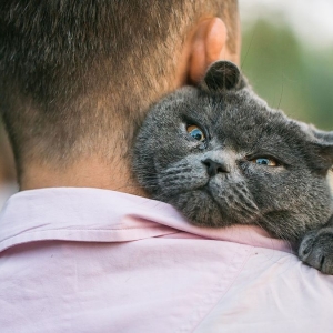 Isteri fail aduan mahkamah, dakwa suami lebih sayangkan kucing