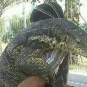 Wanita single bengang kena tanggung adik perempuan dah kahwin- Adik ipar biawak hidup, lampin anak pun tak beli