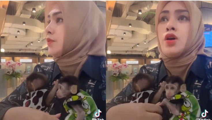 ‘Influencer’ berang ditegur bawa monyet ke medan selera