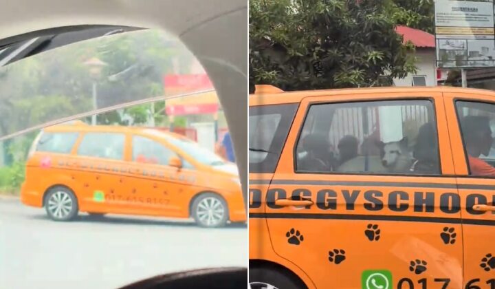 Berlaku Di Malaysia, Ada Bas Sekolah Bawak Anjing!