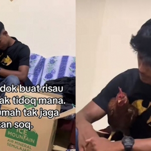 Pukul 2 pagi dia kalut pasal ayam nak tidur mana