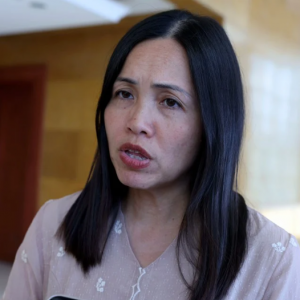Garis panduan media sosial ASEAN dijangka dimuktamadkan dalam 3 bulan - Nie Ching