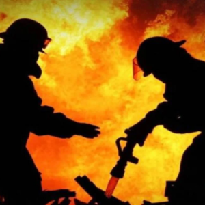 Dua anggota bomba maut ditemba ketika padam kebakaran hutan