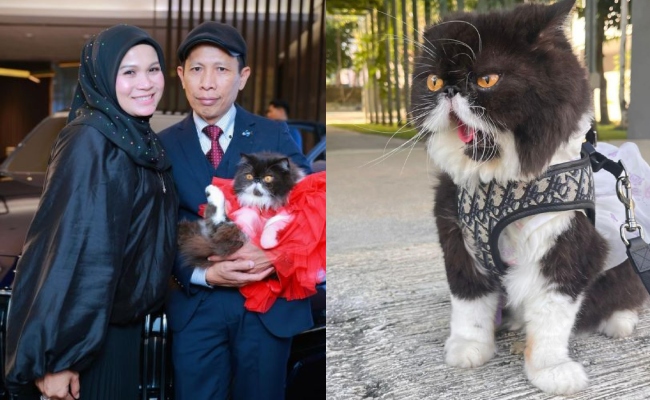 Jutawan tudung Bawal Exclusive, Haliza Maysuri Hadiahkan Kucing Kereta Bernilai RM714,000 & Rantai Emas Sempena Ulang Tahun Kelahiran