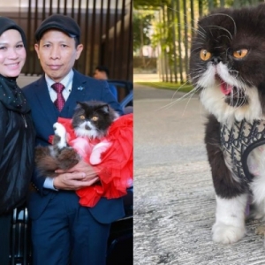 Jutawan tudung Bawal Exclusive, Haliza Maysuri Hadiahkan Kucing Kereta Bernilai RM714,000 & Rantai Emas Sempena Ulang Tahun Kelahiran