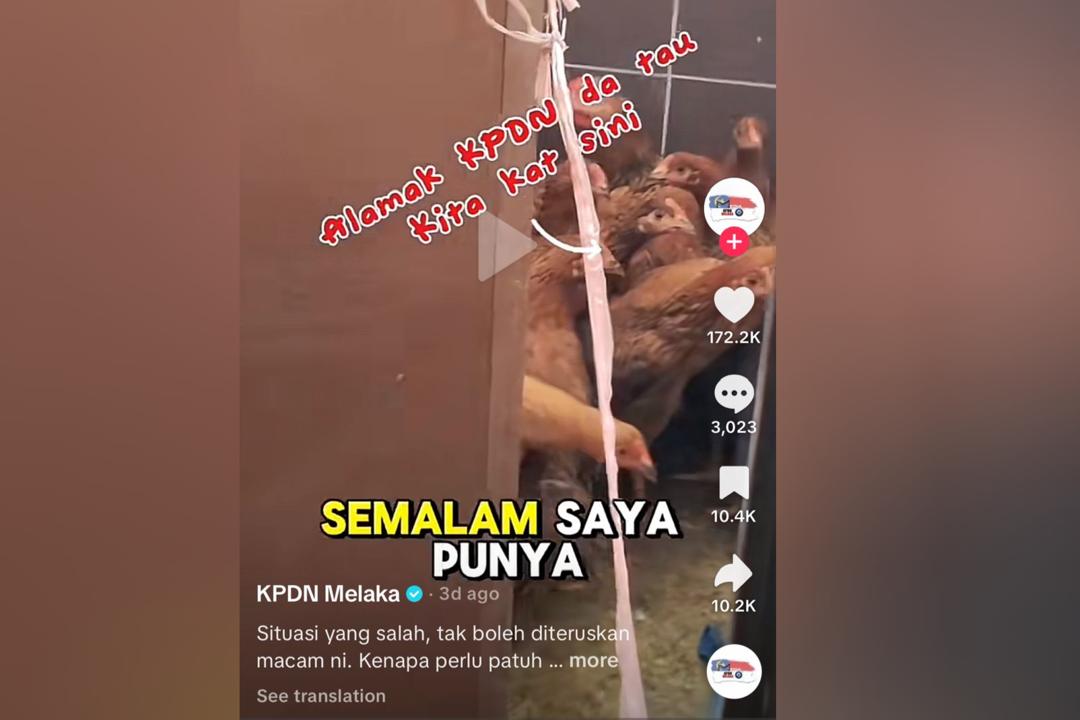 ‘Tauke’ warga Pakistan jual ayam hidup dalam tandas - Pengarah KPDN Melaka