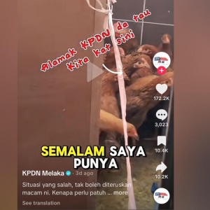 ‘Tauke’ warga Pakistan jual ayam hidup dalam tandas - Pengarah KPDN Melaka