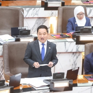 Gaduh suami isteri, hangat-hangat tahi ayam punca MyKiosk di Selangor hambar - Datuk Ng Suee Lim