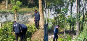 Polis musnahkan pokok ketum ditanam atas tanah rizab kerajaan